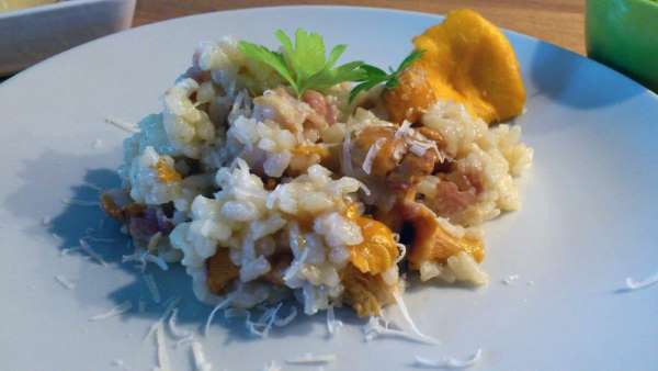 Kantarel risotto
