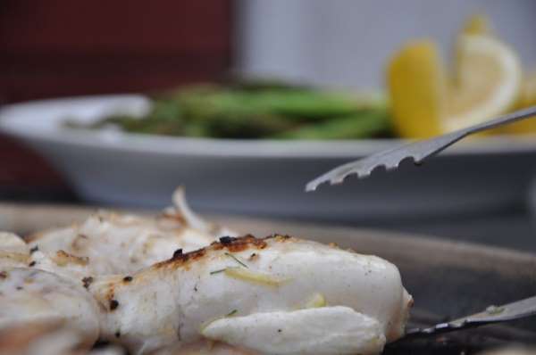 Grillet bl�ksprutte