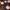 9878-Cupcakes.jpg