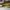 Top mad banan bund spise banan
