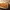 10869-image.jpg