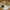 7482mad_009.jpg