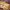 10504-paleo-hveder-maduniversetdk.jpg