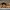 9873-pandekager-maduniverset-dk.jpg