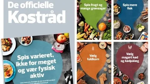 De ti nye kostråd 2013