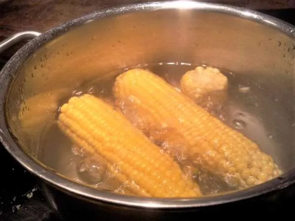 Kogning af majs