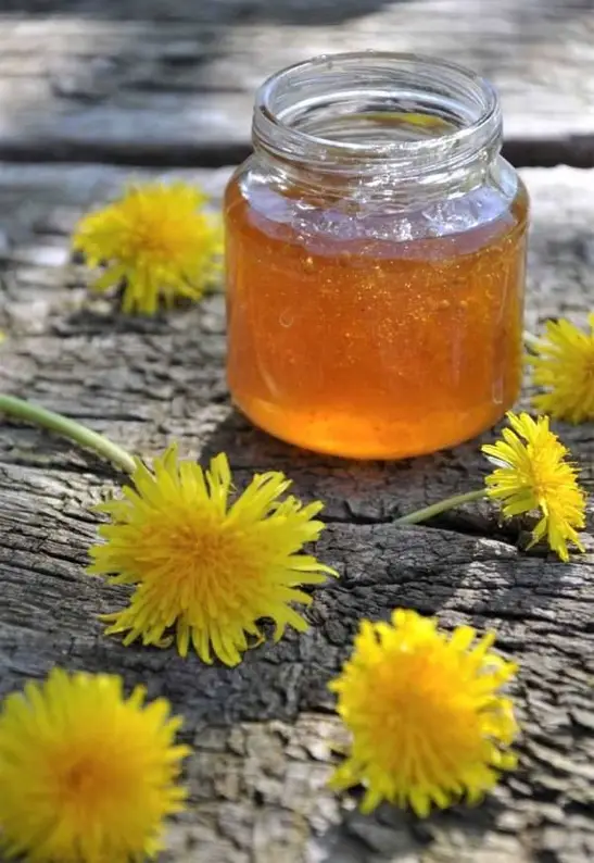 Mælkebøttemarmelade