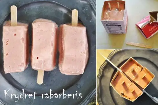 Krydret rabarberflødeis
