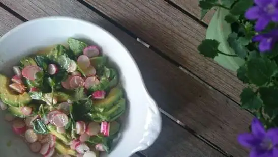 Sommersalat med babyspinat, radiser, avokado og brøndkarse
