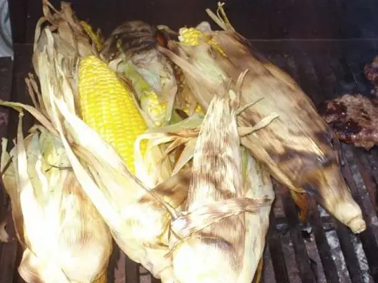 Majs kolber på grill