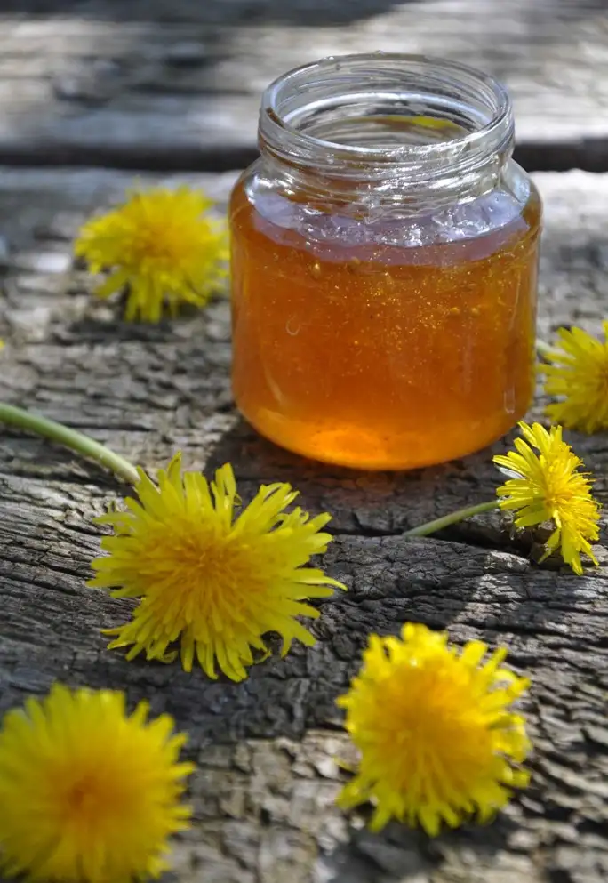 Marmelade/syltetøj opskrifter