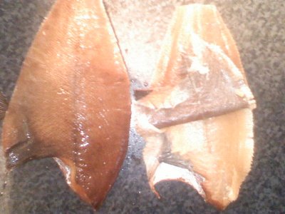 7862-022708164254.jpg