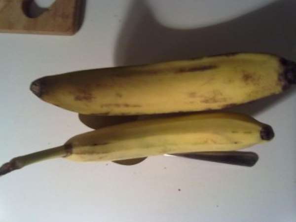 Top mad banan bund spise banan
