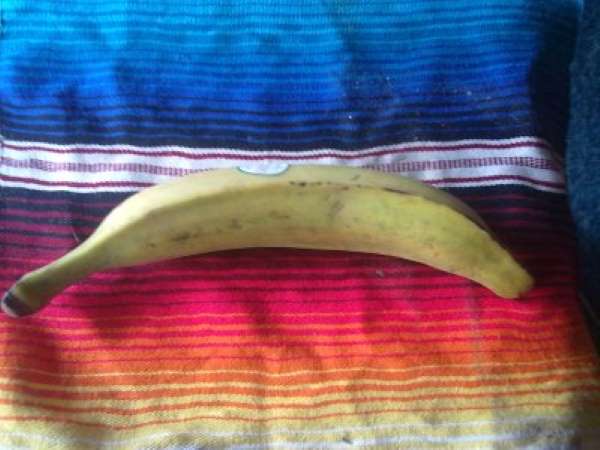 plátano macho (mad banan)