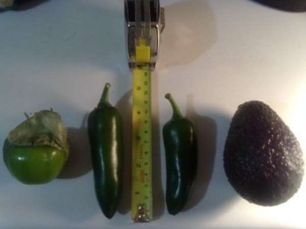 Tomatillos, jalapeño og avocado.