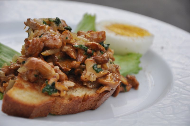 Kantareller de luxe - stort