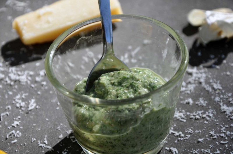 Brændenældepesto - stort