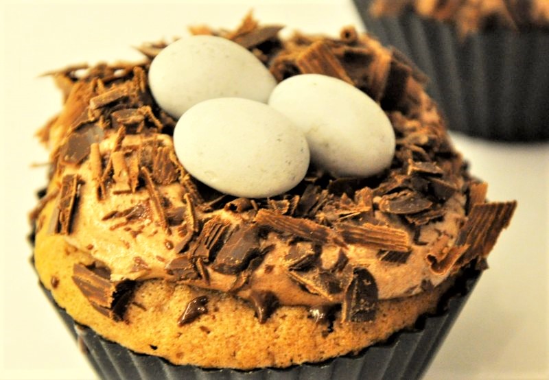 Påske cupcakes - fuglereder - stort