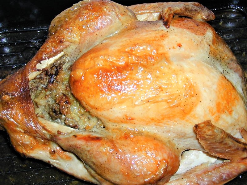 Thanksgiving kalkun - stort