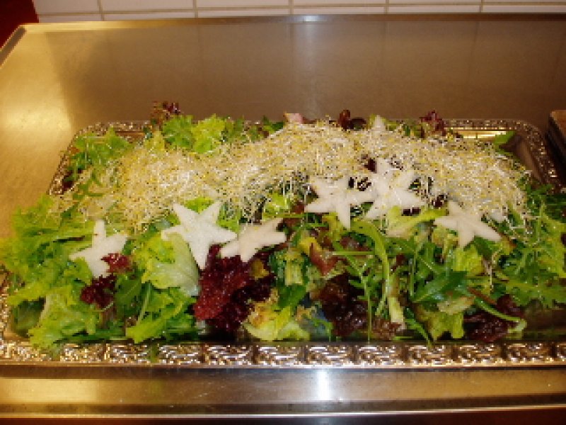 mixed salat med spirer og kinaradisse - stort