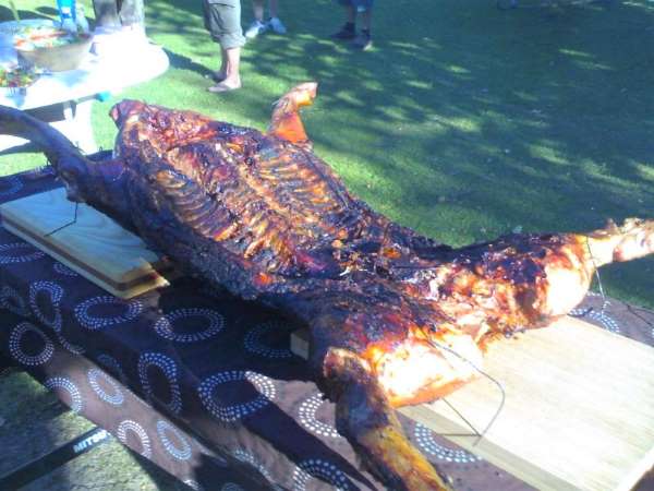 Helstegt pattegris grillet