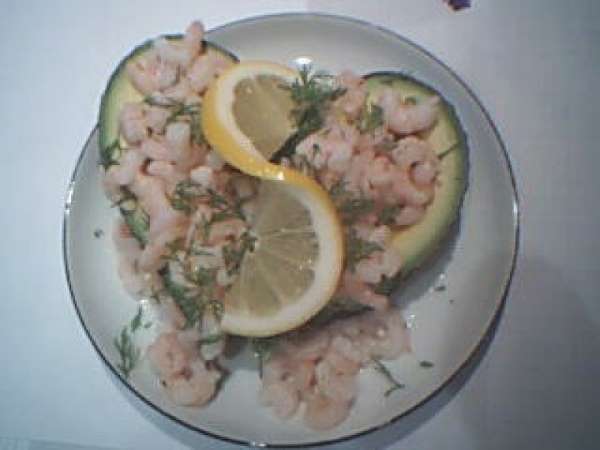 advokado med rejer