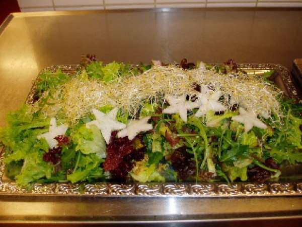 mixed salat med spirer og kinaradisse